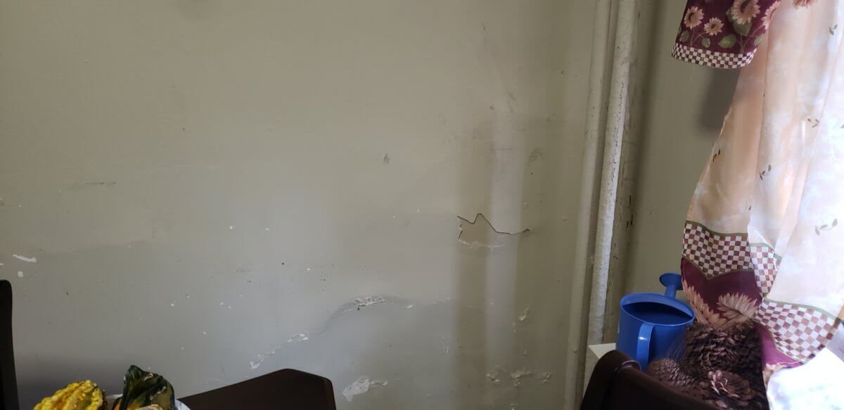 Residents and city comptroller describe deplorable conditions at NYCHA’s Clason Point Gardens