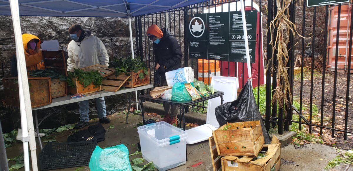 South Bronx Food Hub Collective distributes fresh, local produce to