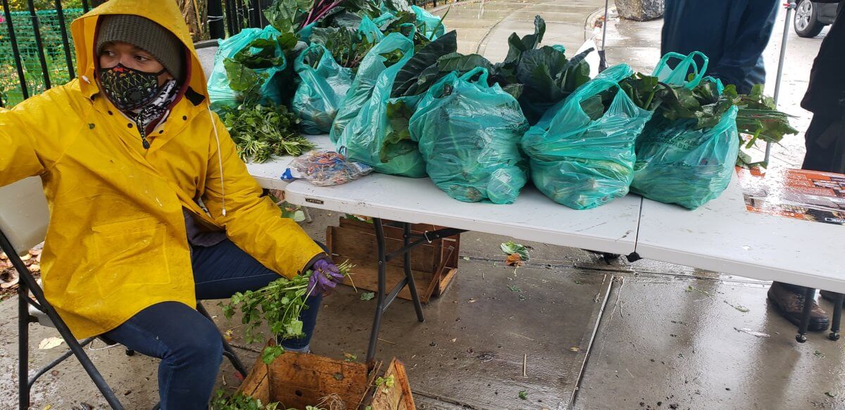 South Bronx Food Hub Collective distributes fresh, local produce to