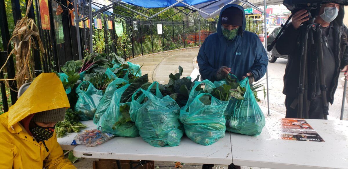 South Bronx Food Hub Collective distributes fresh, local produce to