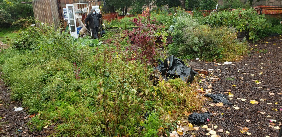 South Bronx Food Hub Collective distributes fresh, local produce to