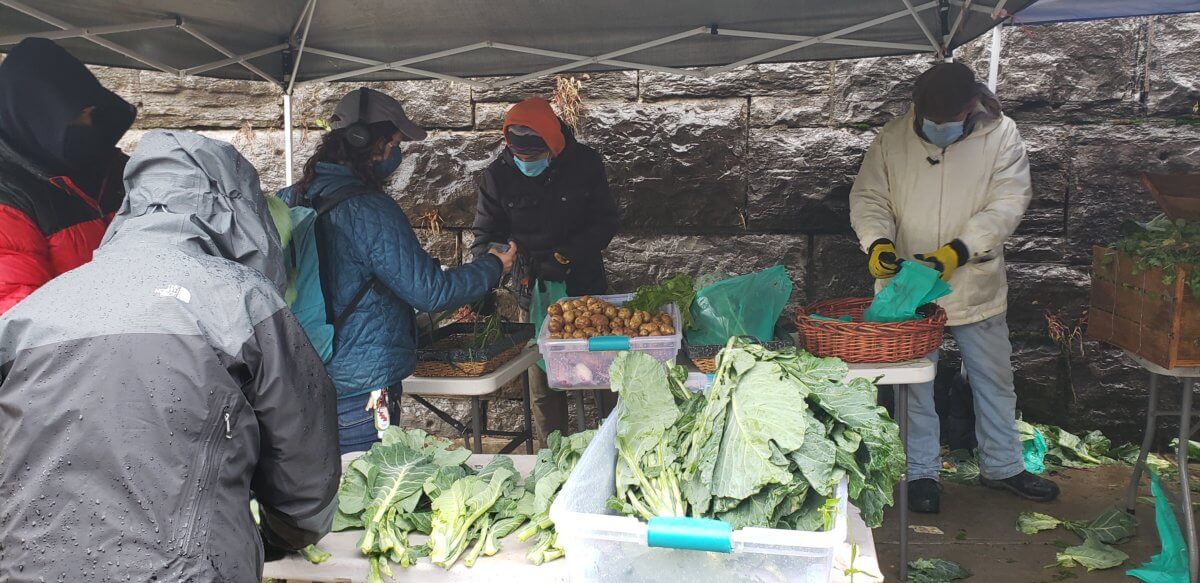 South Bronx Food Hub Collective distributes fresh, local produce to