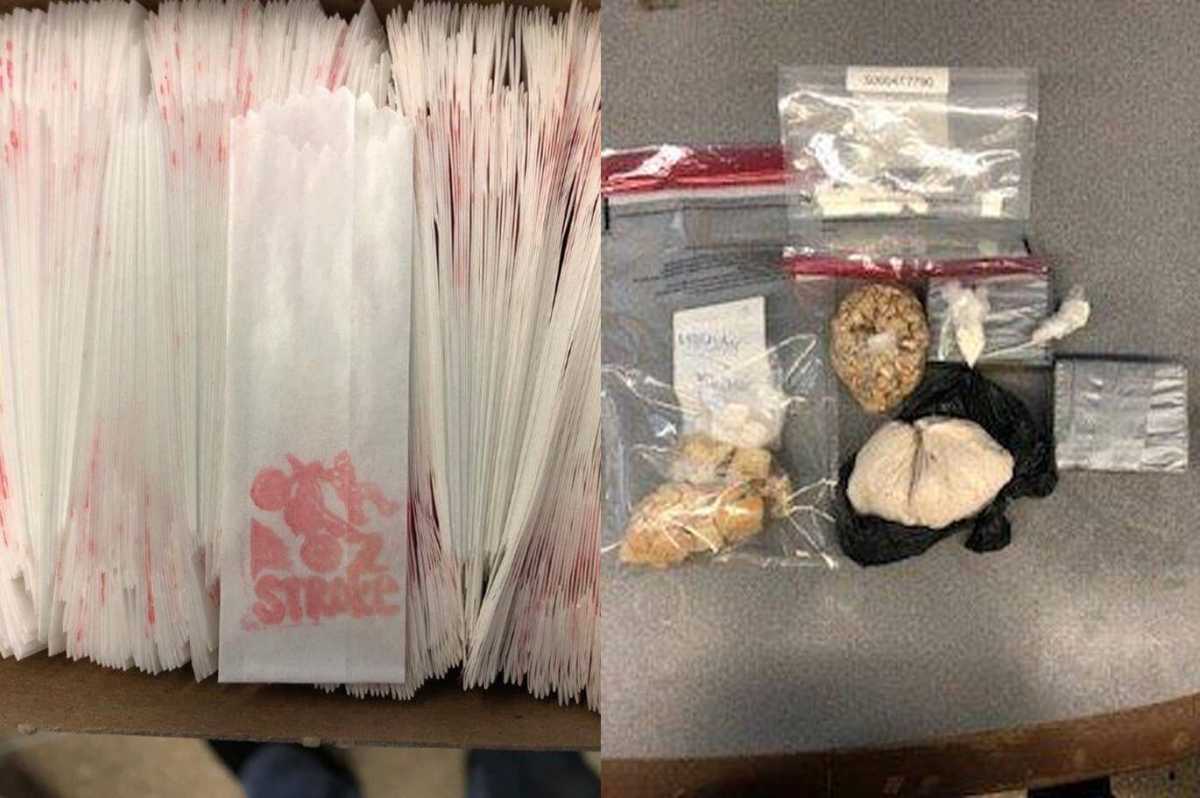 drug-bust