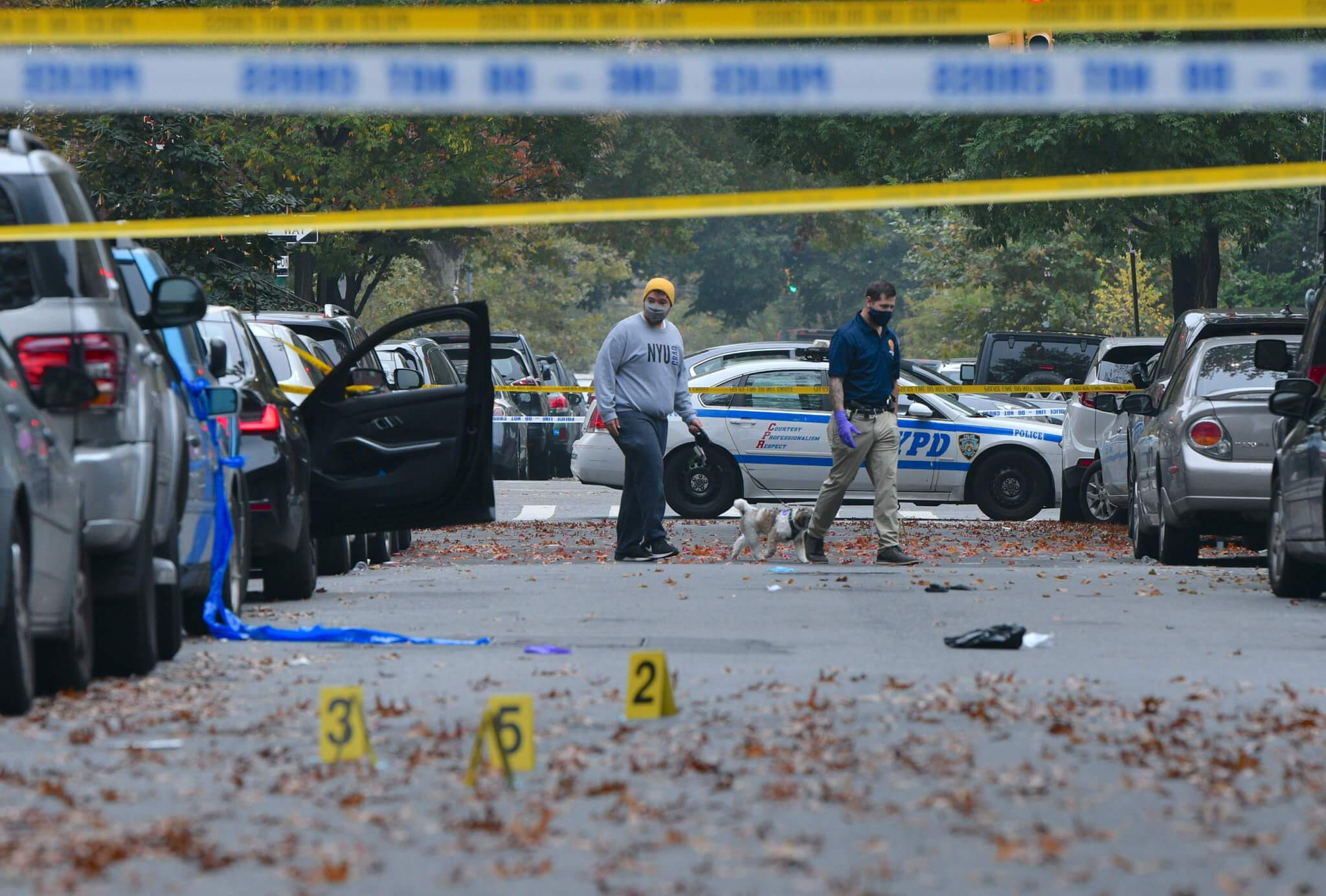 Brooklyn teen arrested among other young men for murder of Bronx 16 ...