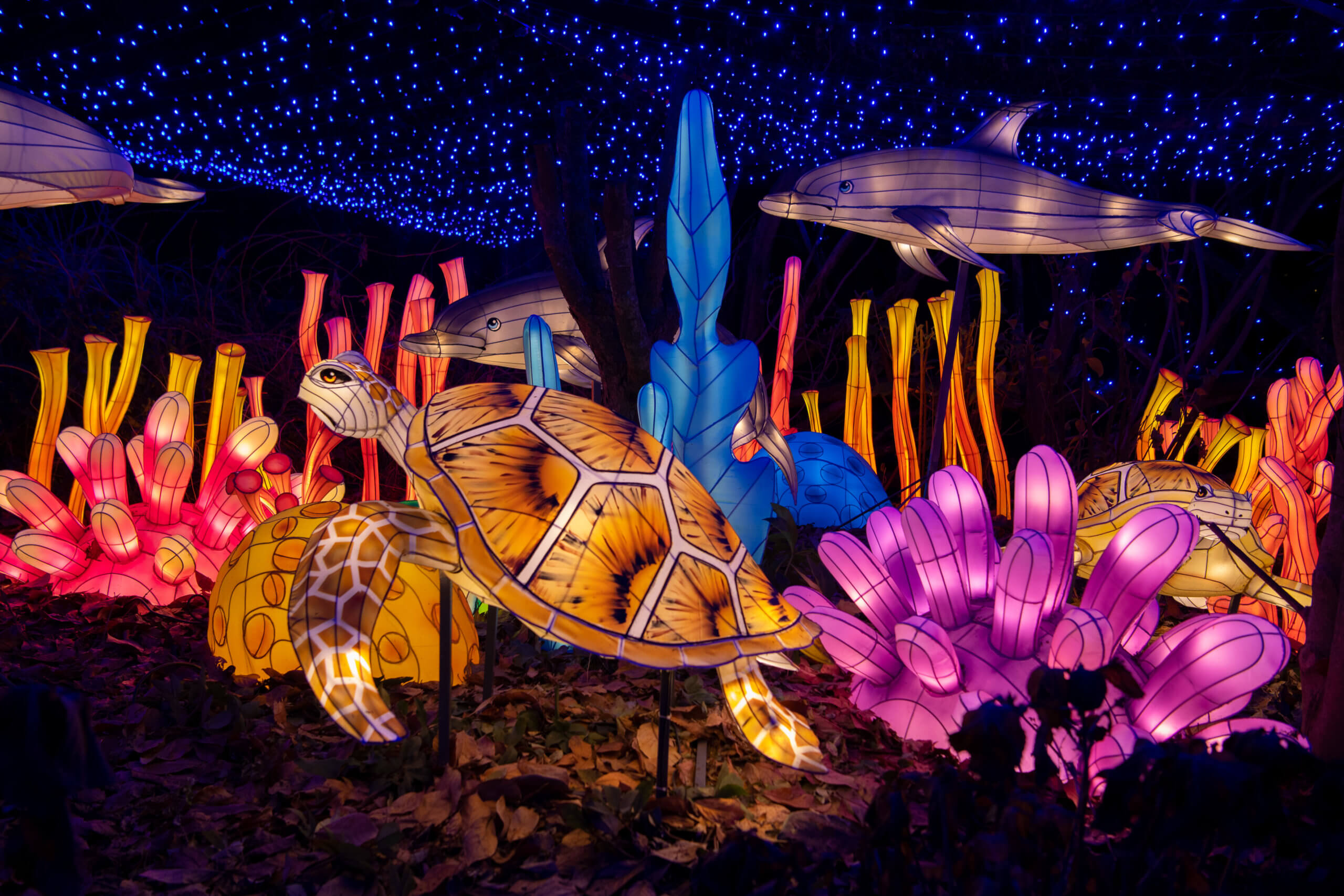 Bronx Zoo holiday lights illuminate Belmont brighter than ever