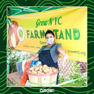 GrowNYC mask