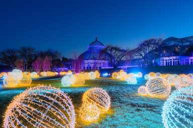 NYBG-GLOW-MCO-A9_09649
