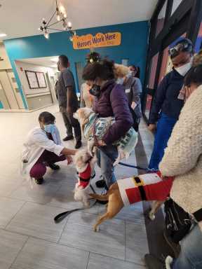 Xmas Dogs 2 12-20.v1