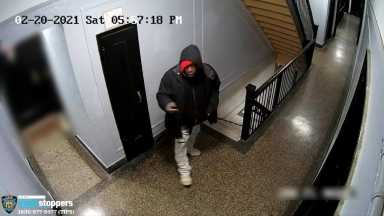 449-21-Bronx-Att.-Rape-Pattern-Photo-2