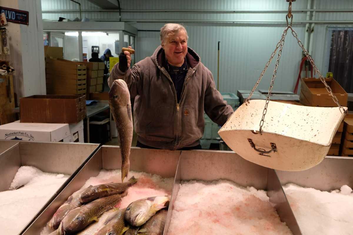 Fish Market