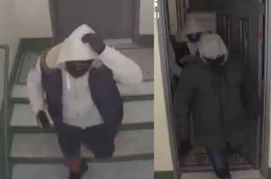 Screen-Shot-2021-02-15-at-9.04.45-AM