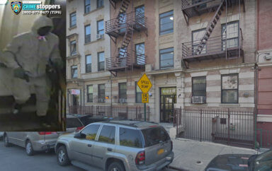 hoe avenue robbery