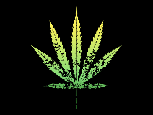 Marijuana-Laws-Reform-1