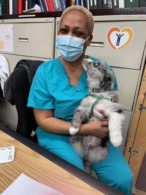 Pet Therapy Sky 2