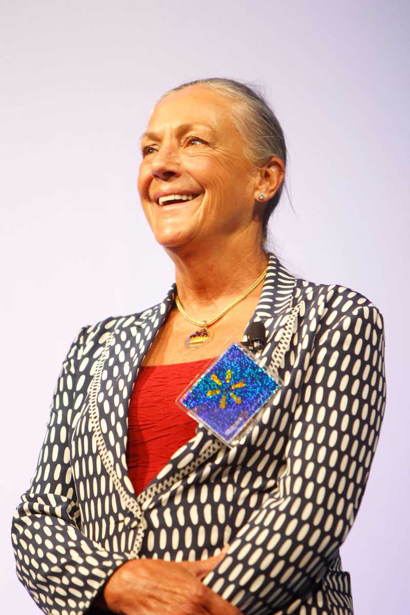 Wal-Mart Shareholders Meeting 2011