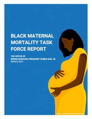 black-maternal-mortality-task-force-report-cover-2