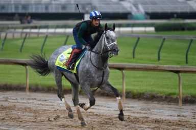Horse Racing: Kentucky Derby-Workouts