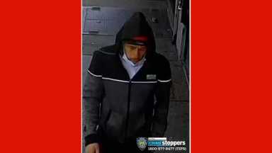 46-precinct-assault-bronx