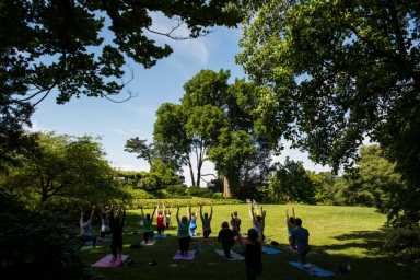 2020-spring-events_Yoga-in-the-Garden_Joshua-Bright