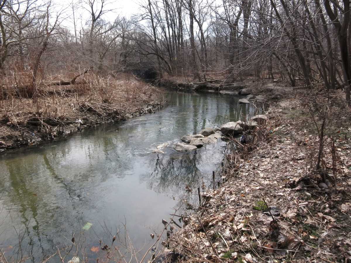 BronxRiver_ShorelineStabilization_After_2014