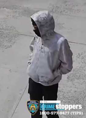 1393-21 Robbery Boro Pattern 64 PHOTO1