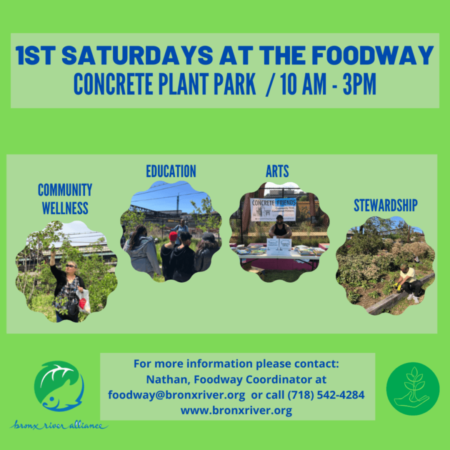 Edible food forest in the Bronx Bronx Times