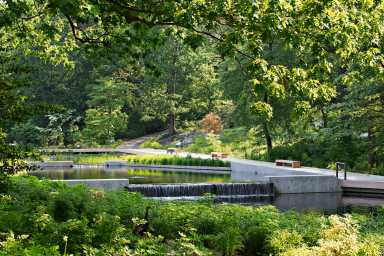 NYBG_NativePlantGarden