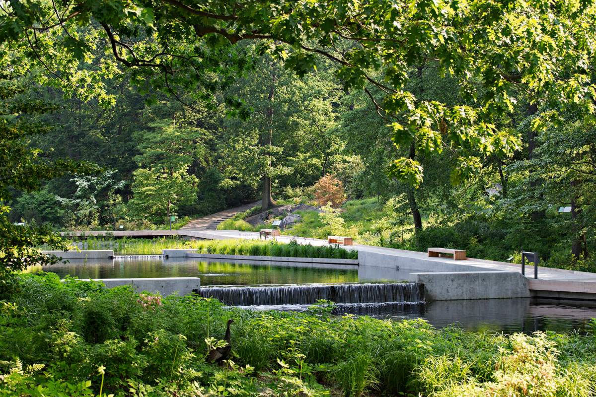 NYBG_NativePlantGarden