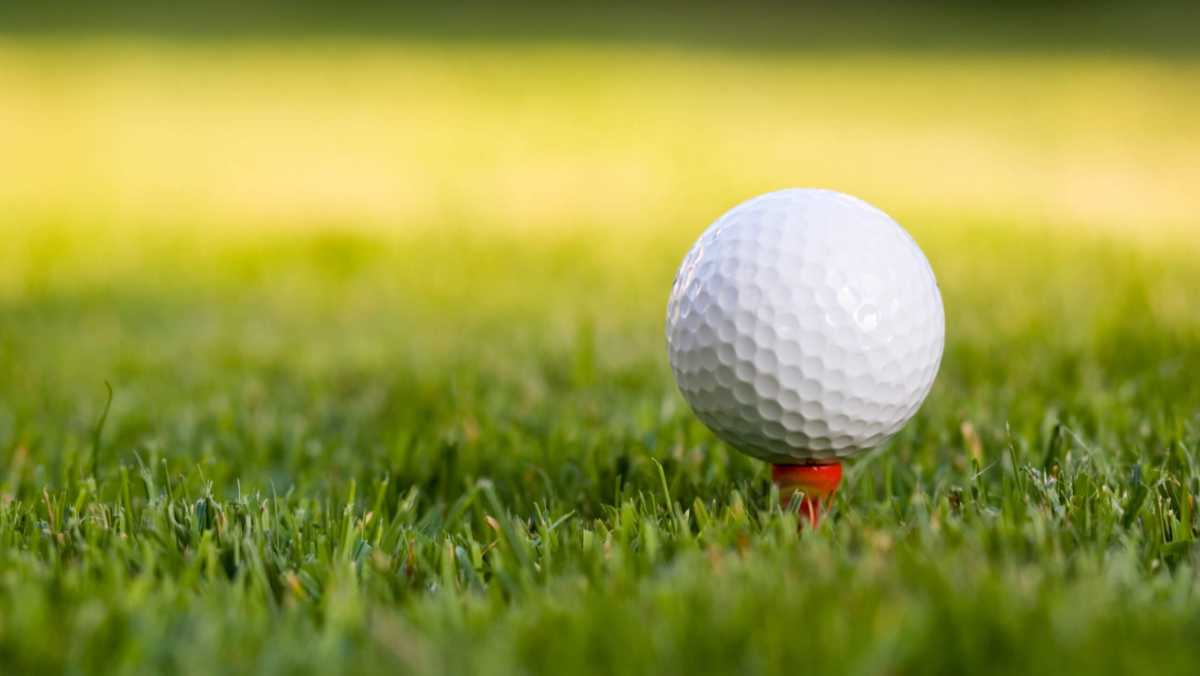 Golf ball on the tee
