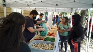 BX Farmers Market 08
