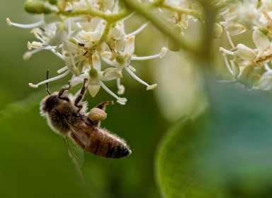 GettyImages-638334596-1200×874-1