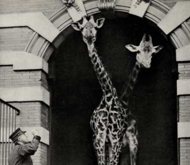 Screen Shot 2022-01-10 at 5.40.16 PM