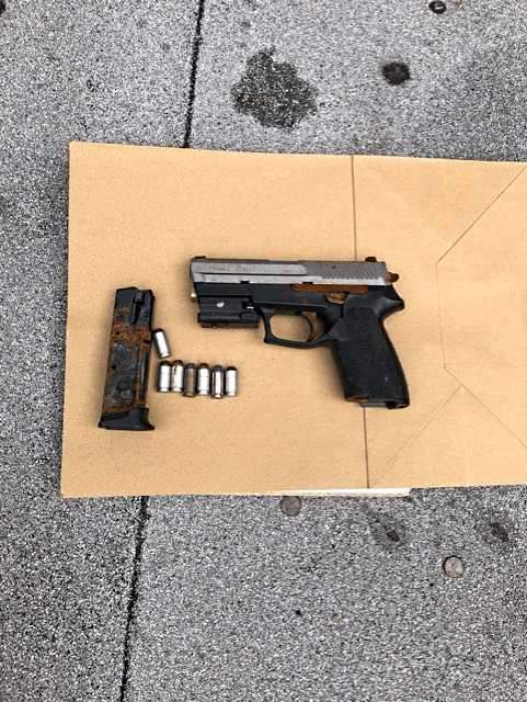 Gun