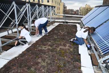 MCP_0027 St Marys Green Roof & Planters 2 23 22 mp