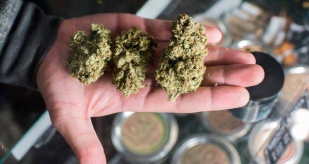 ProXtracts was issued the first tier one cannabis processing license in New York City and plans to start producing this spring in Morris Park.