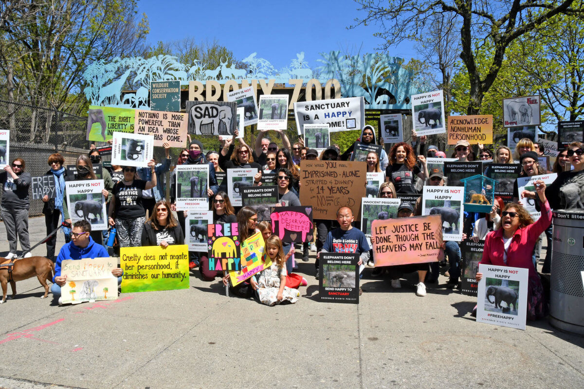 Happy Days? The Bronx Zoo’s star attraction is a tough case for Court