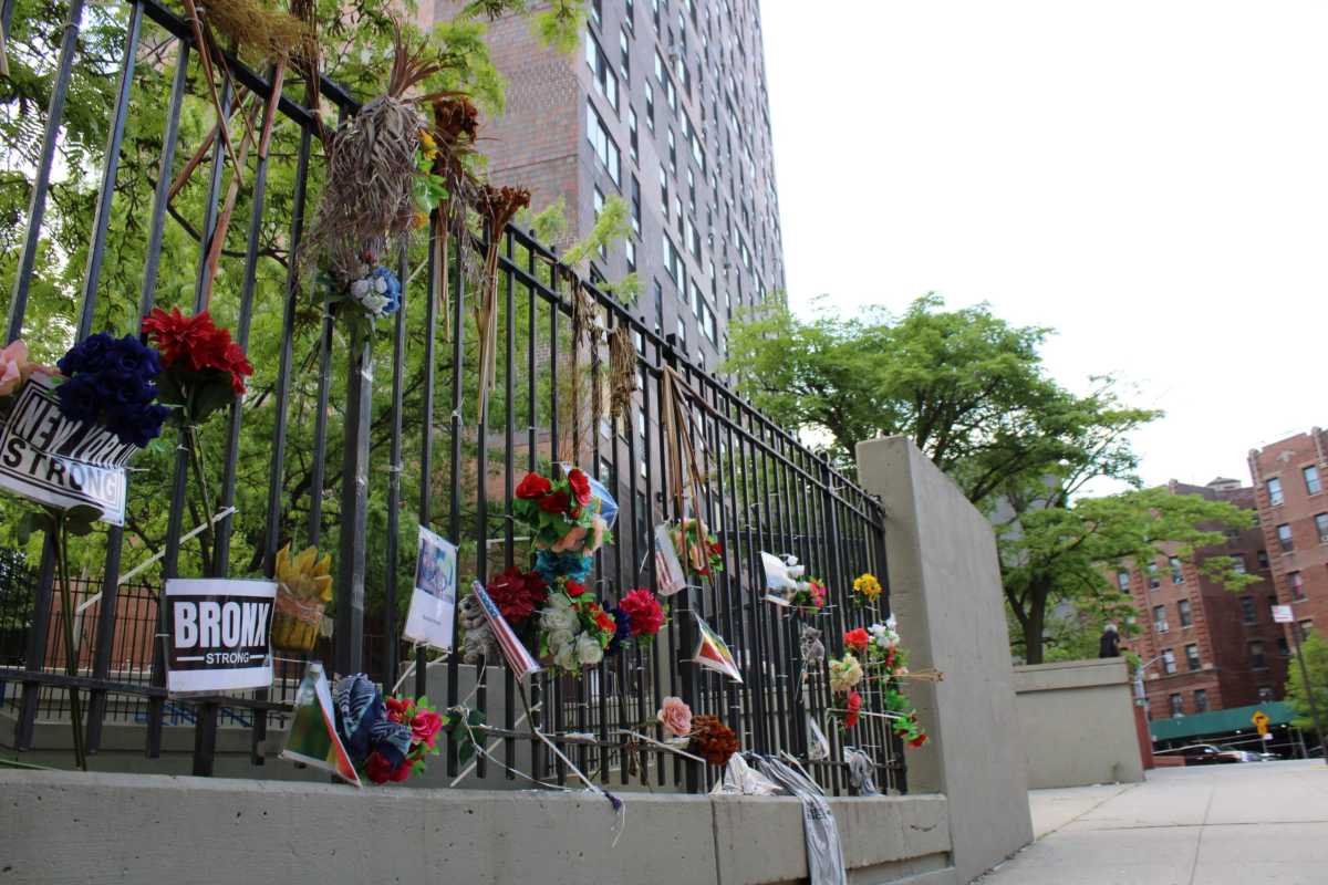 twinparksbronxstrongJPG