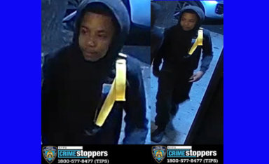 bronx-shooter-1200×731-1