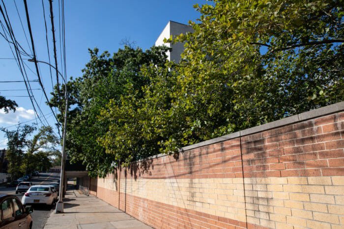 wall along sidewalk with trees hovering over it