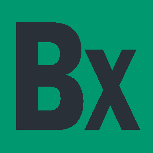 www.bxtimes.com