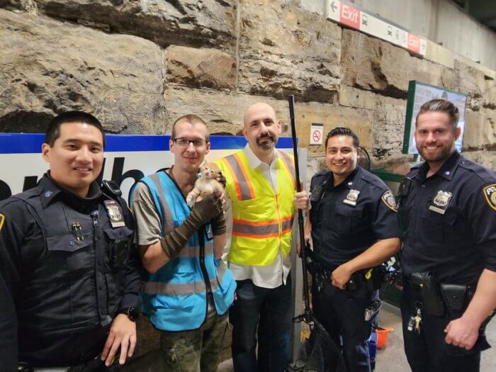 Officials rescue a kitten from a Metro-North rail line on Thursday, Nov. 3, 2022.