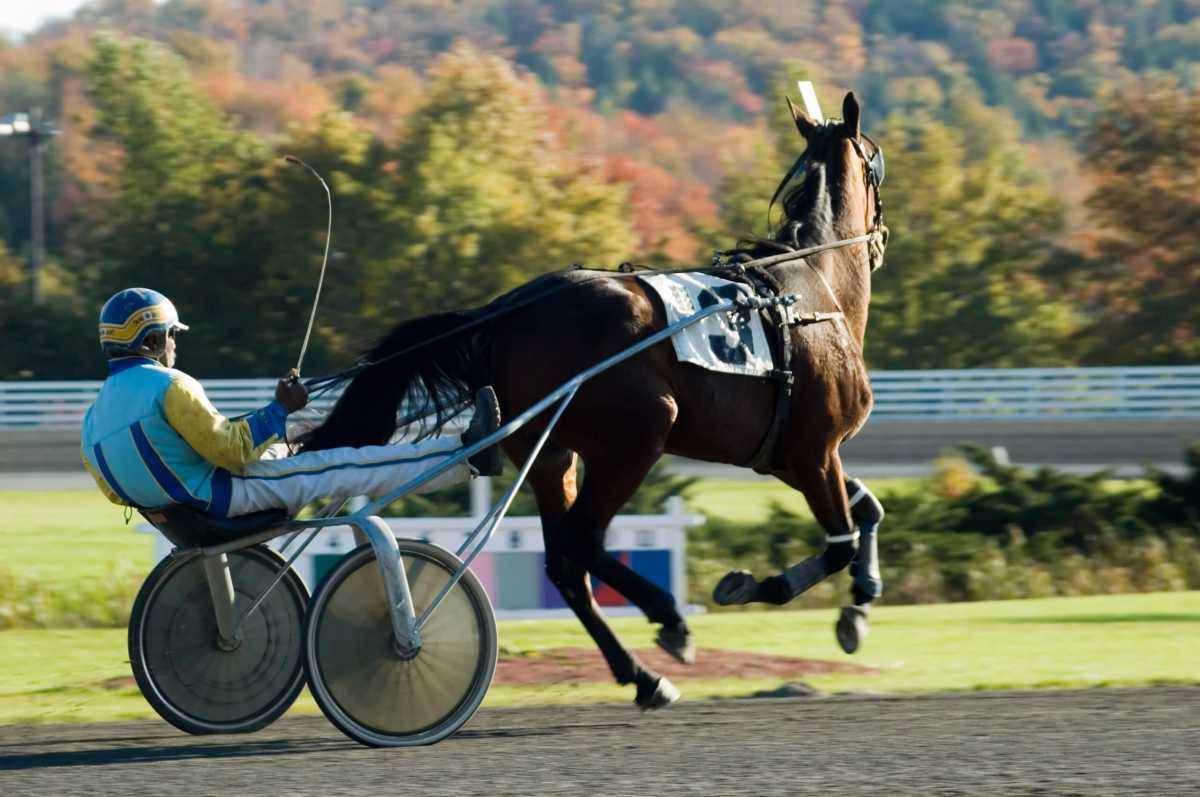 breaking stride