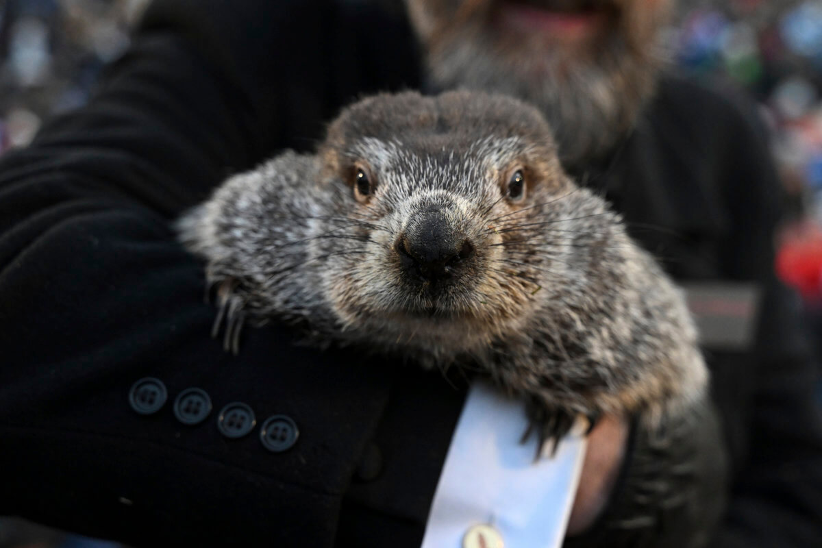 APTOPIX Groundhog Day