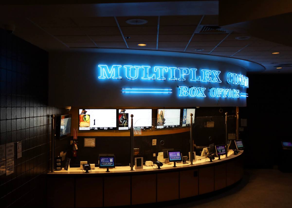 The Multiplex Cinemas, located inside the Concourse Plaza on 161st Street.