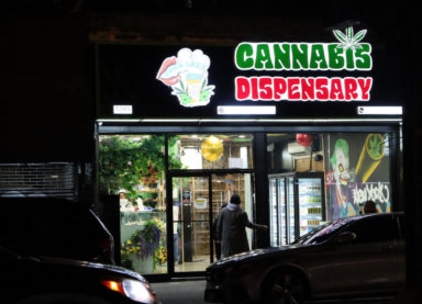 Bronx politicians are attempting to combat the proliferation of illegal cannabis.