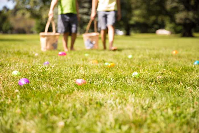 The 45th precinct will host an Easter celebration, featuring an egg hunt and a visit from the Easter Bunny, this Saturday at Ferry Point Park.