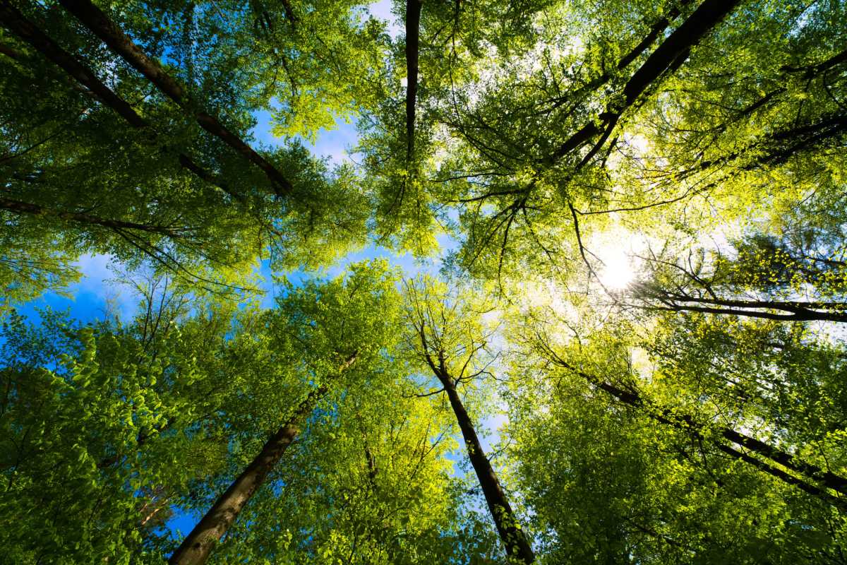 Manhattan College is preparing a day full of programing for Earth Day on Friday, April 21, 2023.