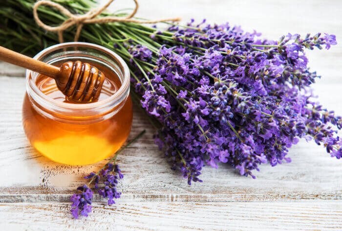 Jar with honey and a honey dipper next to a bundle of fresh lavender. Bronx