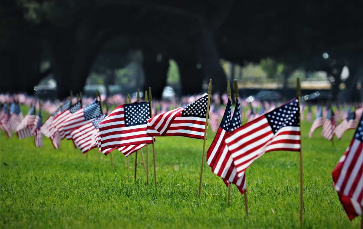 Small American flags lined up in the grass.