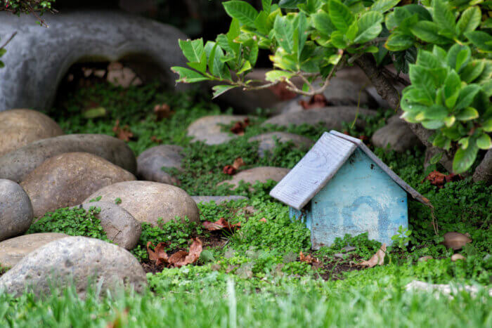 Tiny grass garden with a tiny blue house next to comparatively large smooth rocks. Happening